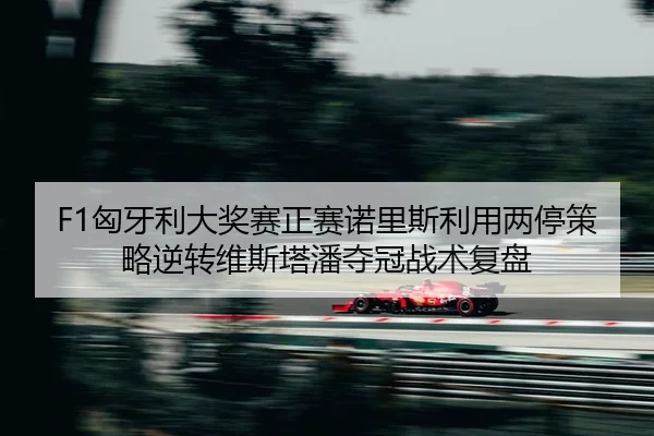 xiong-ya-li-da-jiang-sai-zheng-sai-nuo-li-si-li-yong-liang-ting-ce-lve-ni-zhuan-wei-si-ta-pan-duo-guan-zhan-shu-fu-pan-2-929.jpg