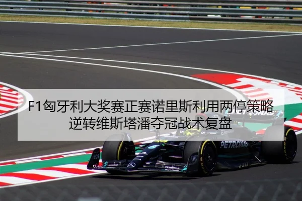 F1匈牙利大奖赛正赛诺里斯利用两停策略逆转维斯塔潘夺冠战术复盘