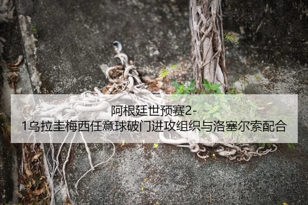 阿根廷世预赛2-1乌拉圭梅西任意球破门进攻组织与洛塞尔索配合